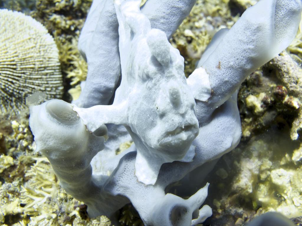 Breathe Villa Meno Gili Meno Zewnętrze zdjęcie